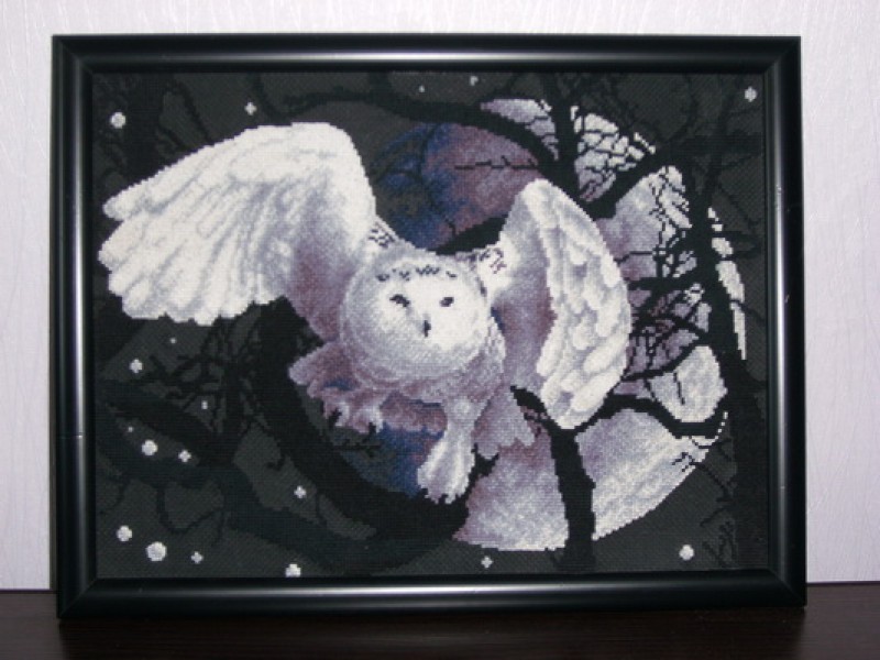 Картина Белая сова