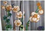 Бело-золотая орхидея