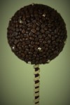 Топиарий кофейное дерево