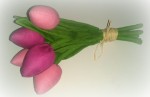 Тильда тюльпаны