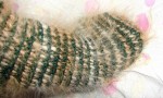 Носки «крокодильчик» спортивные ручного вязания из собачьей шерсти.