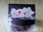 Для любителей орхидей  Картина на деревянной основе, качественная фотобумага