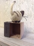 Кот в коробочке roonya