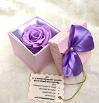 Стабилизированная роза в подарочной коробочке 