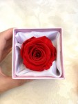 Подарок - вечная стабилизированная живая роза в коробочке