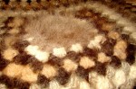      Плед  вязанный из собачьей шерсти.