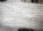 Коротенькие женские носки из собачьей шерсти 